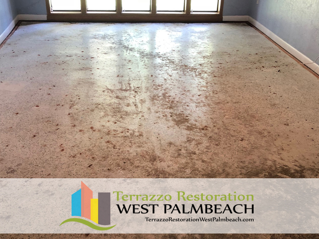 Terrazzo Floor Restoration